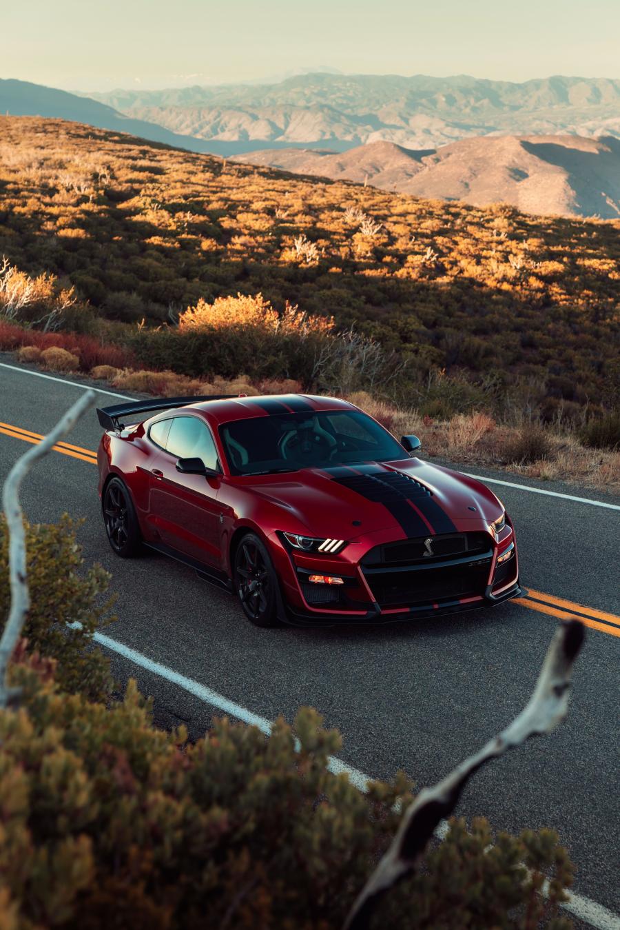  Ford Mustang Shelby GT500 2019 года  (фото 69 из 119)